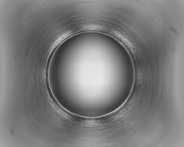 X0000116031330200911201247