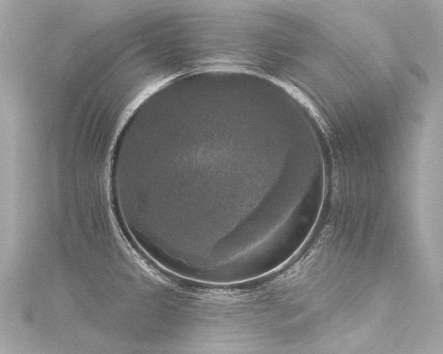 X0000116031333200911201247