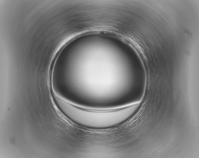 X0000116031342200911201247