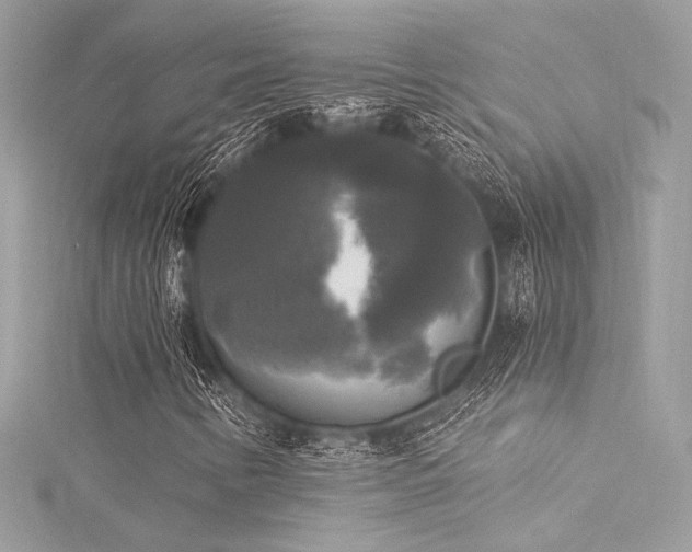 X0000116031346200911201246