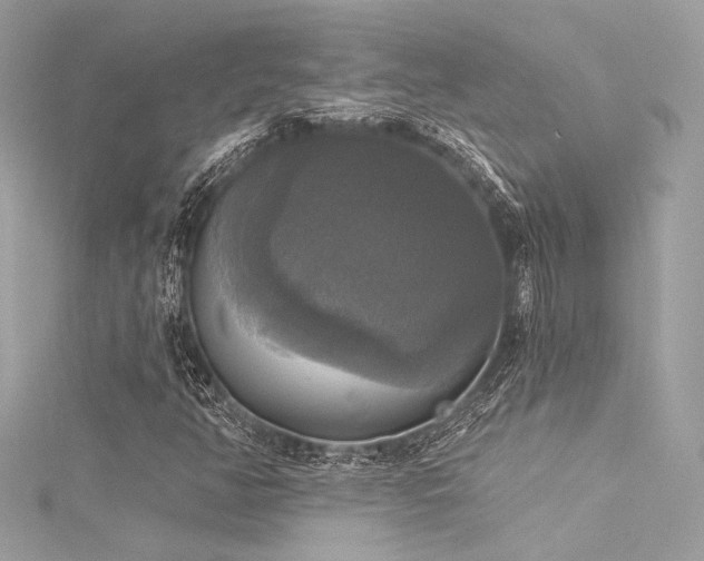 X0000116031350200911201246