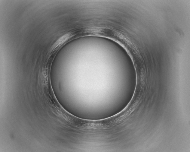 X0000116031354200911201246