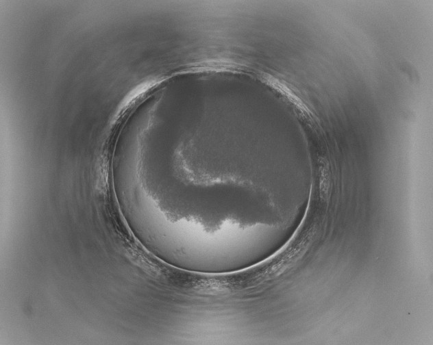 X0000116031358200911201246
