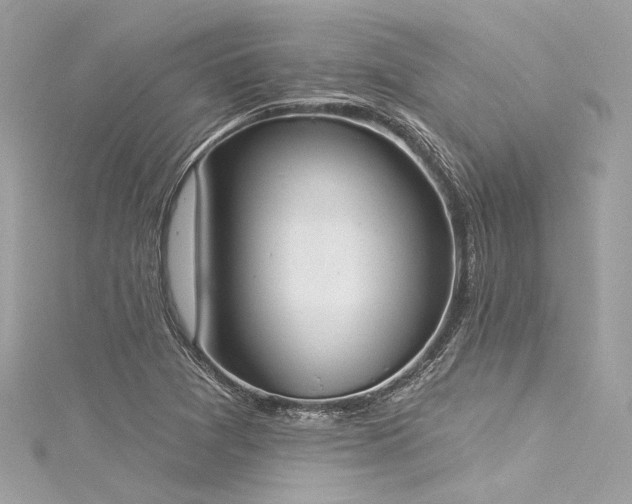 X0000116031361200911201246