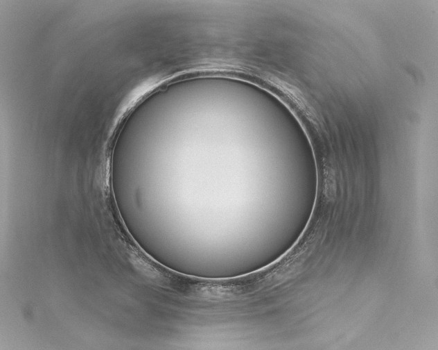 X0000116031366200911201246