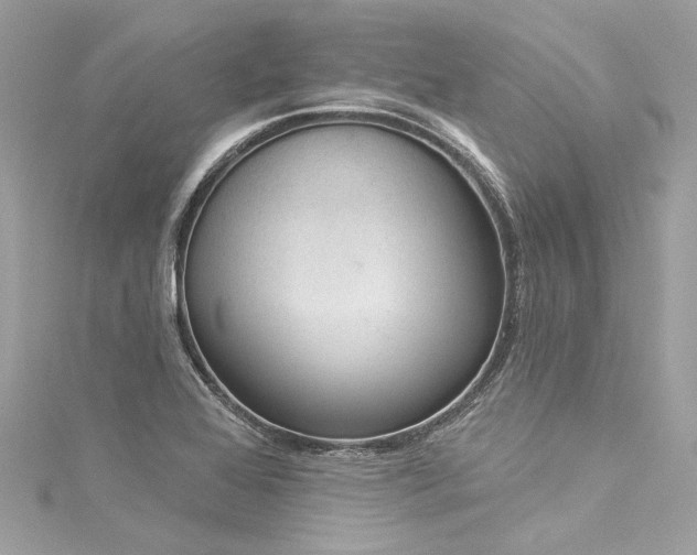 X0000116031368200911201246