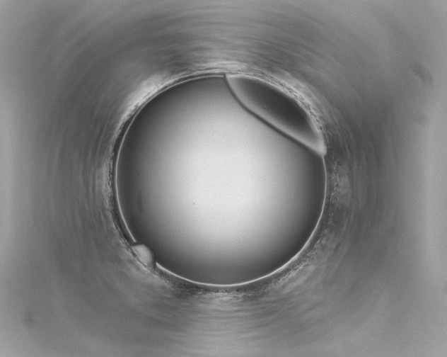 X0000116031373200911201246
