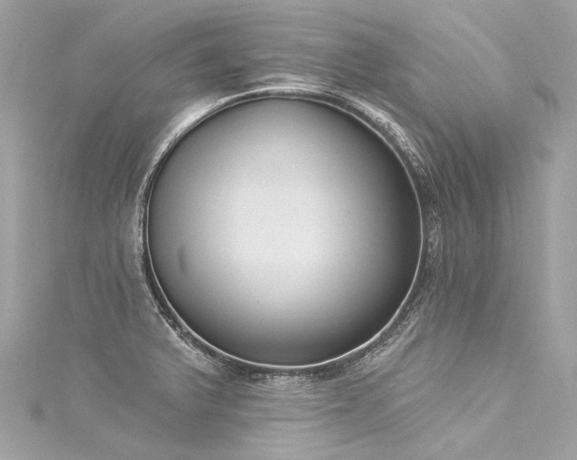 X0000116031375200911201246