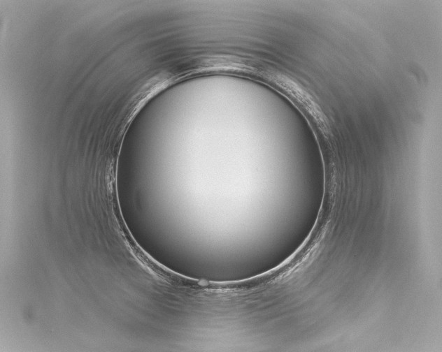 X0000116031377200911201246