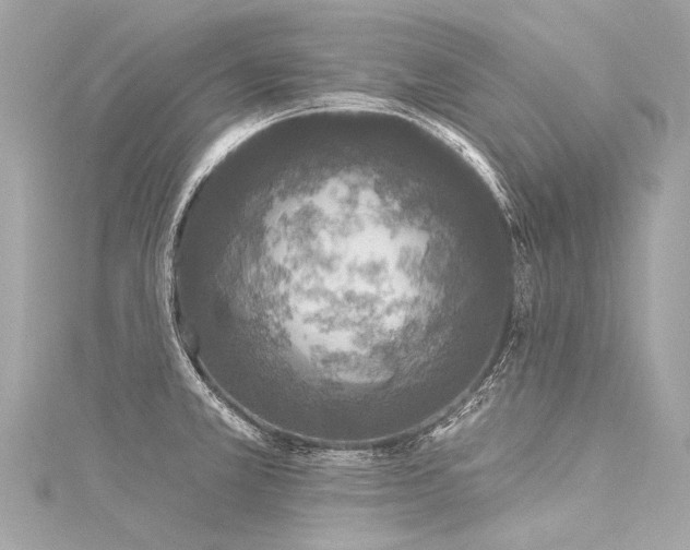 X0000116031381200911201246
