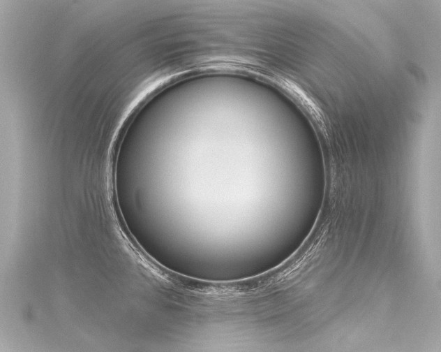 X0000116031384200911201246