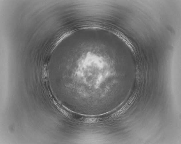 X0000116031385200911201246
