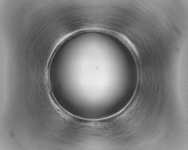 X0000116031388200911201246