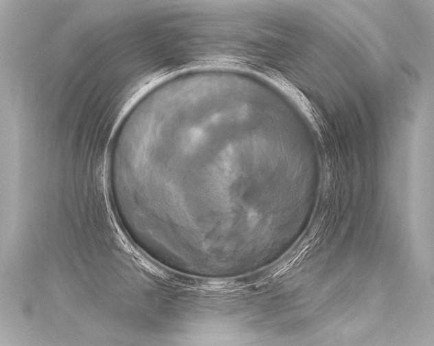 X0000116031390200911201246