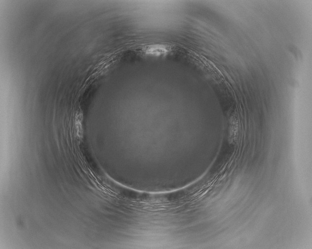 X0000116031394200911201245