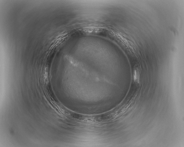 X0000116031396200911201245