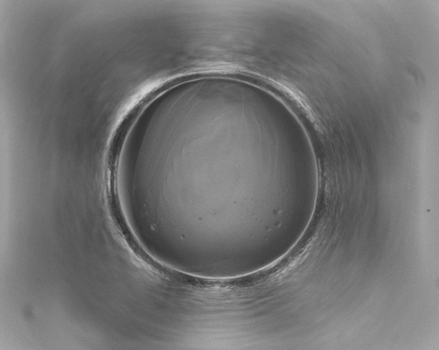 X0000116031414200911201245