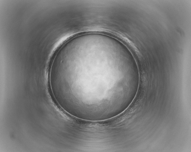 X0000116031416200911201245