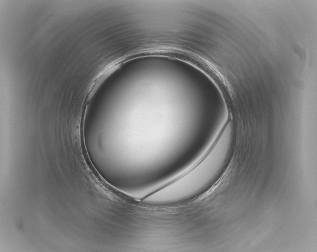 X0000116031417200911201245
