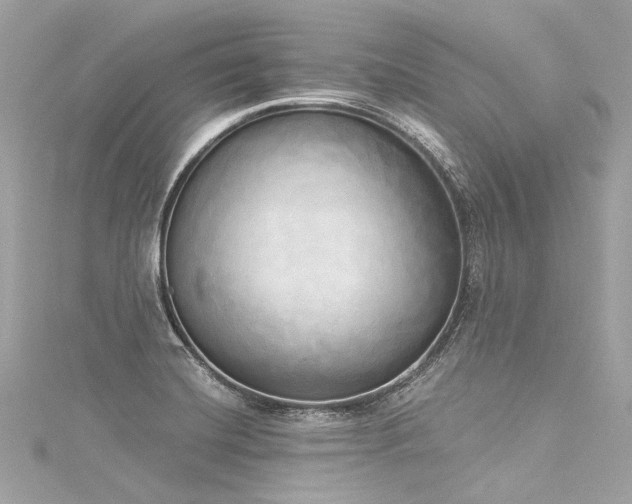 X0000116031420200911201246