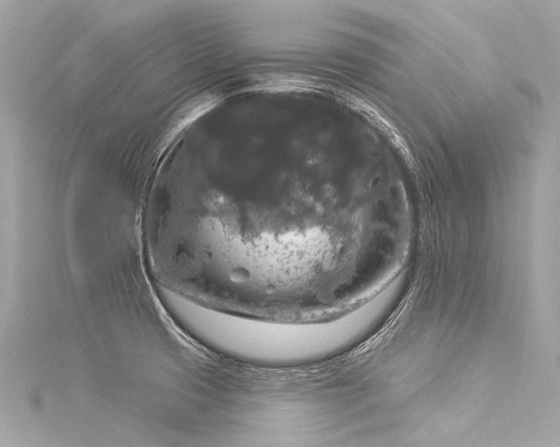 X0000116031425200911201246