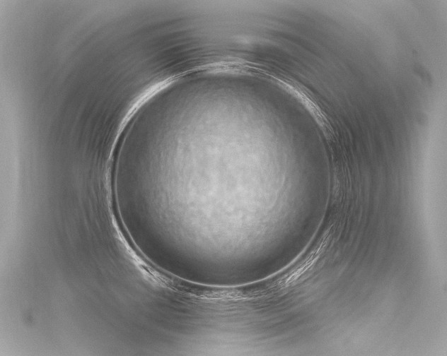 X0000116031434200911201246