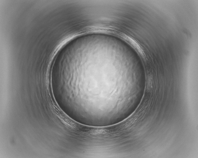 X0000116031435200911201246