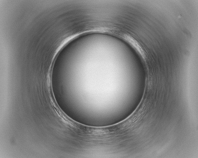 X0000116031436200911201246