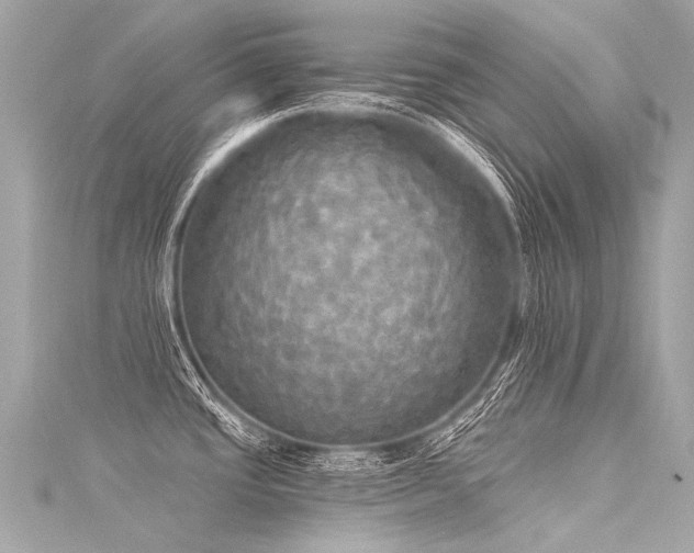 X0000116031437200911201246