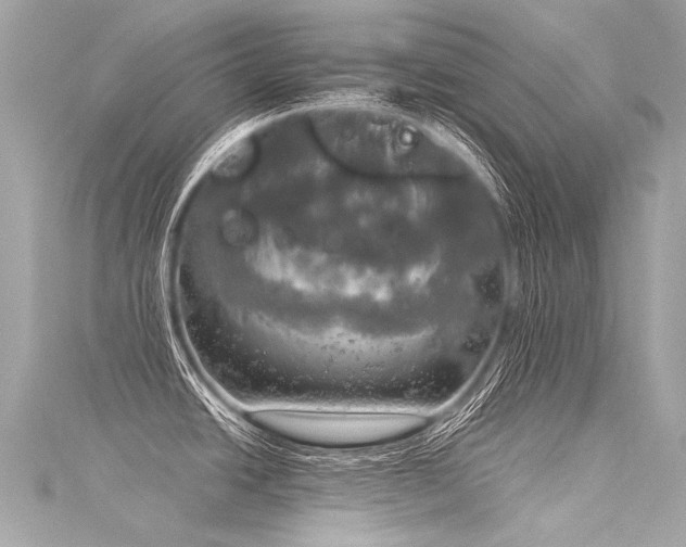 X0000116031438200911201246