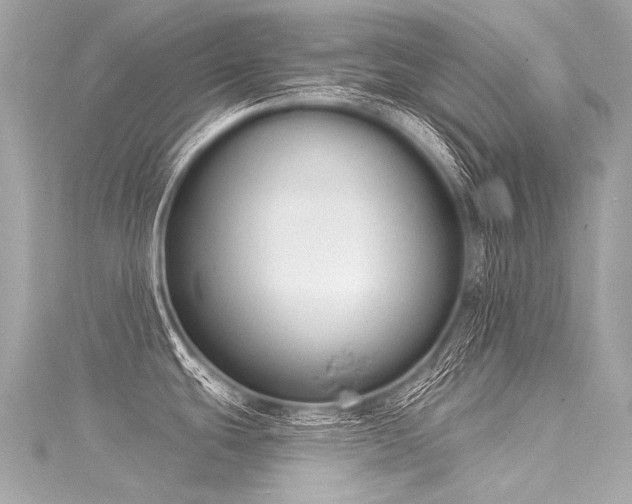 X0000116031439200911201246