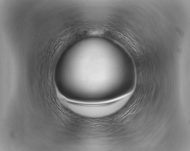 X0000116031441200911201245