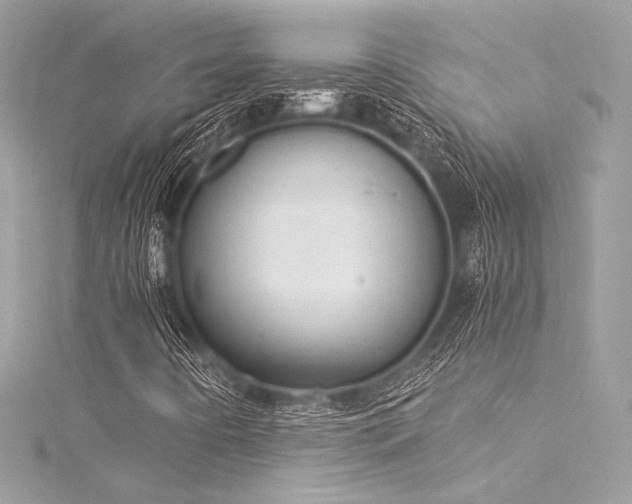 X0000116031442200911201245