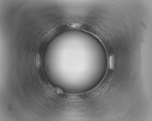 X0000116031443200911201245