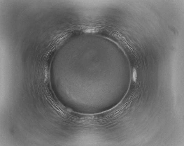 X0000116031444200911201245
