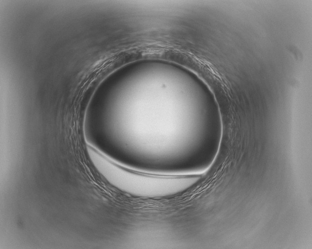 X0000116031445200911201245