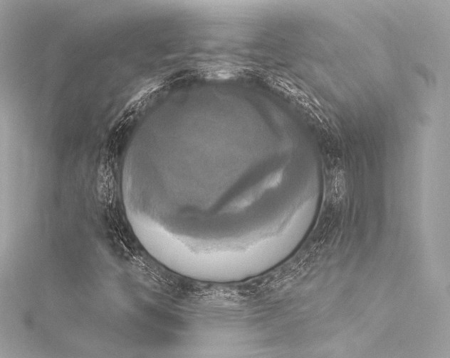 X0000116031446200911201245