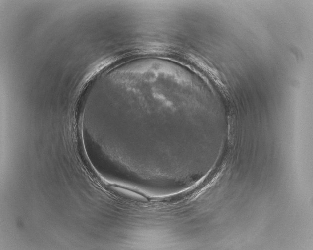 X0000116031453200911201245