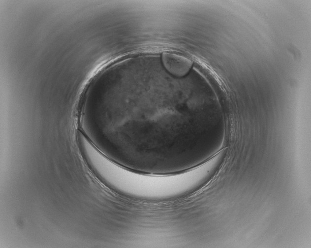 X0000116031459200911201245
