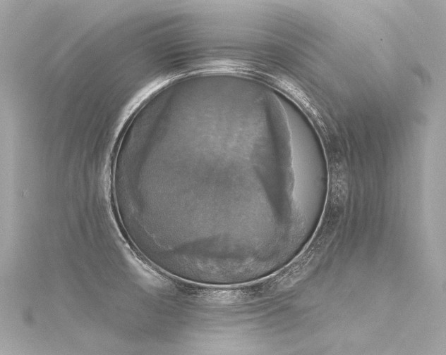 X0000116031474200911201245