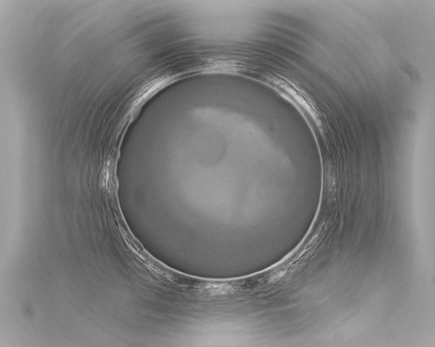 X0000116031481200911201244