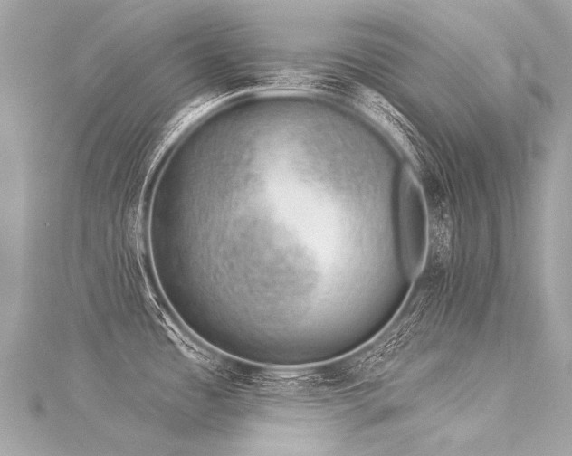 X0000116031485200911201244