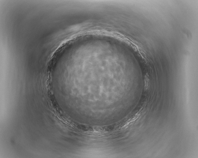 X0000116031494200911201244