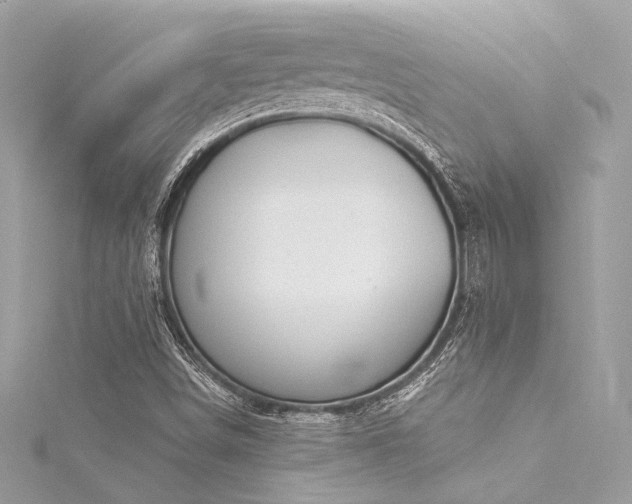 X0000116031498200911201244