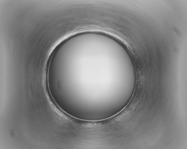 X0000116031518200911201244