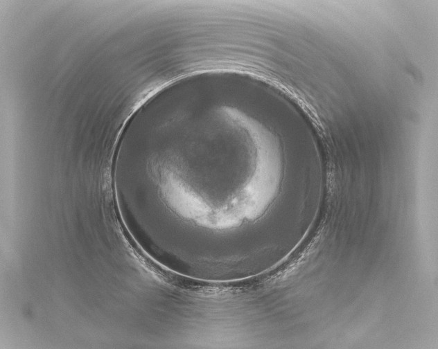 X0000116031521200911201244