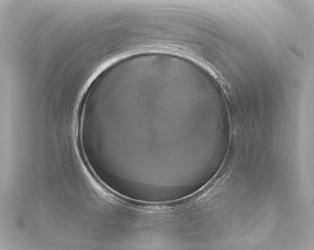 X0000116031523200911201244