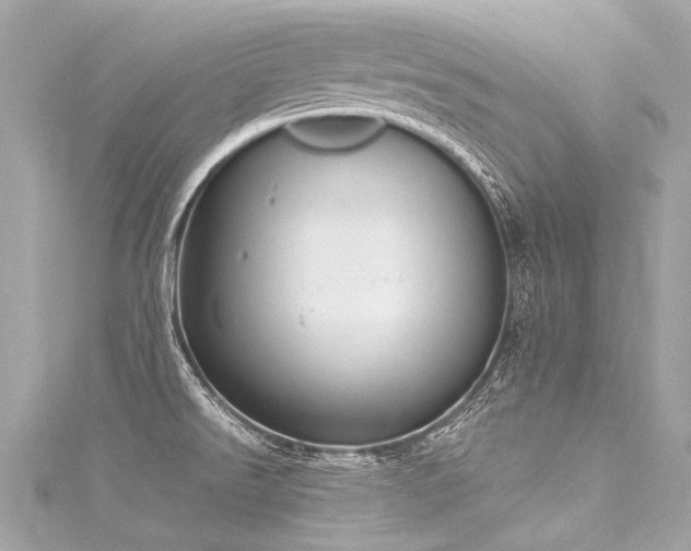 X0000116031526200911201244