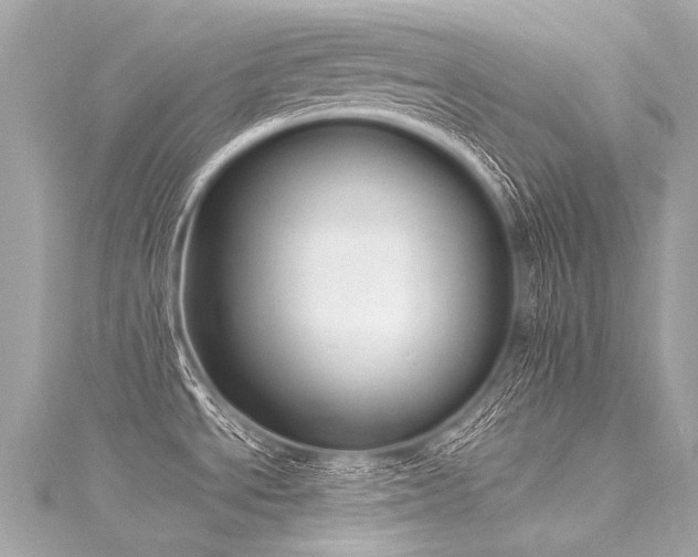 X0000116031534200911201244