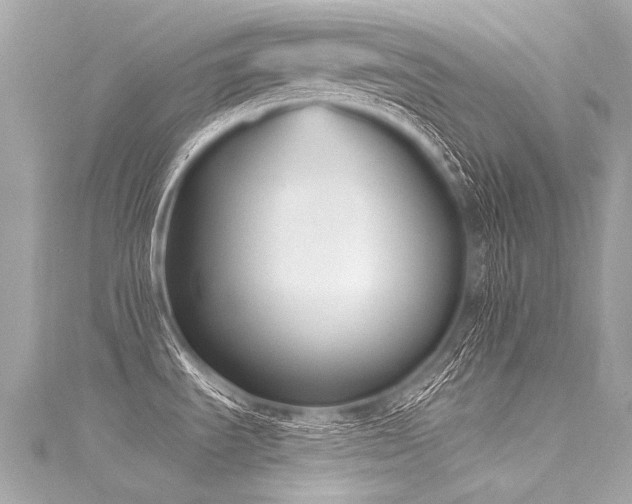 X0000116031535200911201244